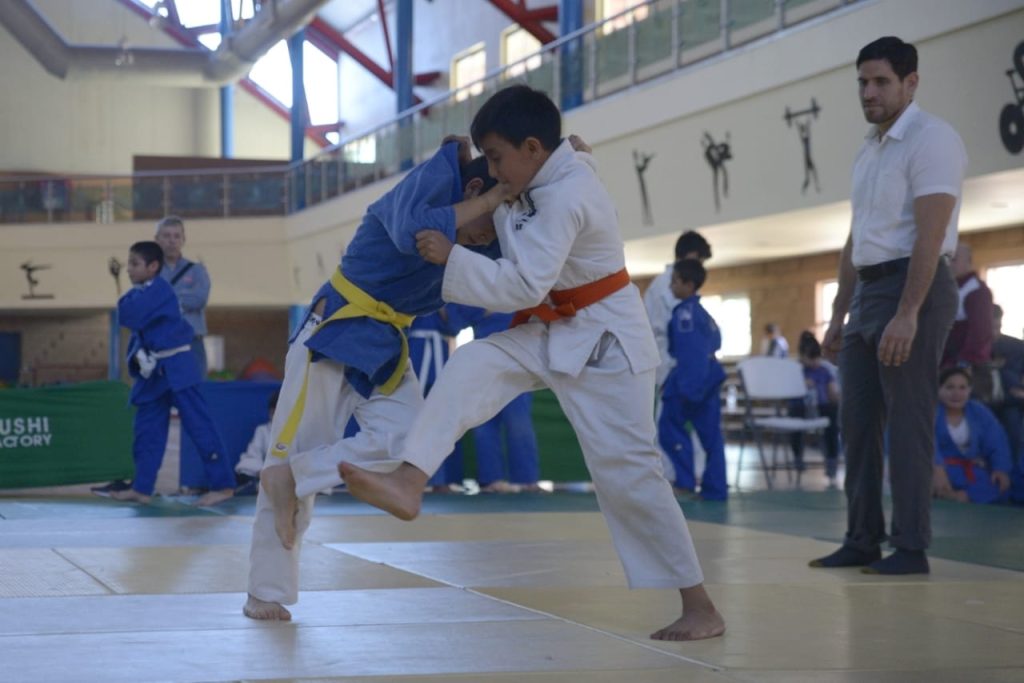 Judo Suma Seis Plazas Y Tendr Judokas En La Olimpiada Nacional Isde