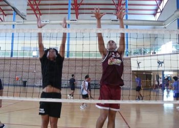 Trabajan Boxeo, Luchas Judo y Voleibol en las técnicas