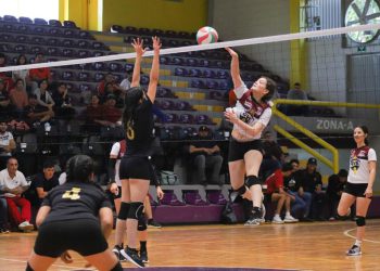 Guasave y Salvador Alvarado dominan el voleibol de sala y boxeo