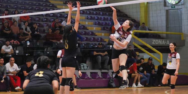 Guasave y Salvador Alvarado dominan el voleibol de sala y boxeo
