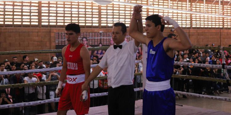 Culiacán se lleva 14 oros en el boxeo