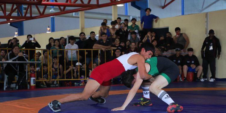 Domina Ahome Estatal de Luchas