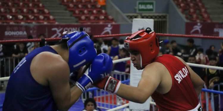 Un total de 27 boxeadores sinaloenses disputarán las semifinales
