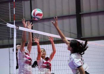 Buscarán el bronce en las tres categorías.