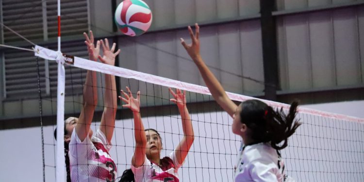 Buscarán el bronce en las tres categorías.