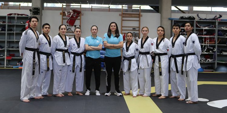 Llegan las primeras propuestas PED 2024