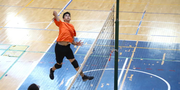 Ya se trabaja para los NC 2025.