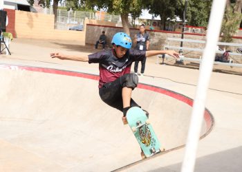 Define Skateboarding sus representantes