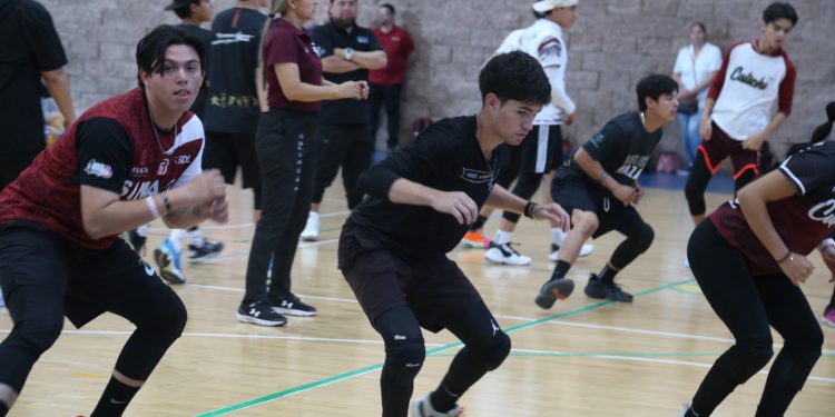 ‘A formar buenas selecciones’