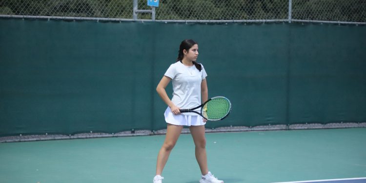 Hay posibilidades de muy buenos resultados: Stamatis