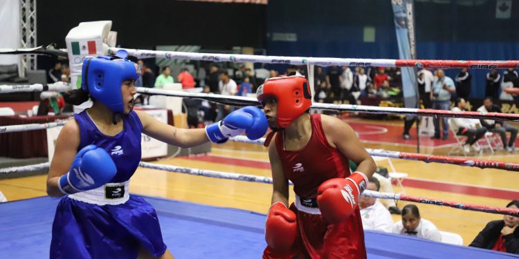 Aseguran Sinaloa cinco pases en Boxeo