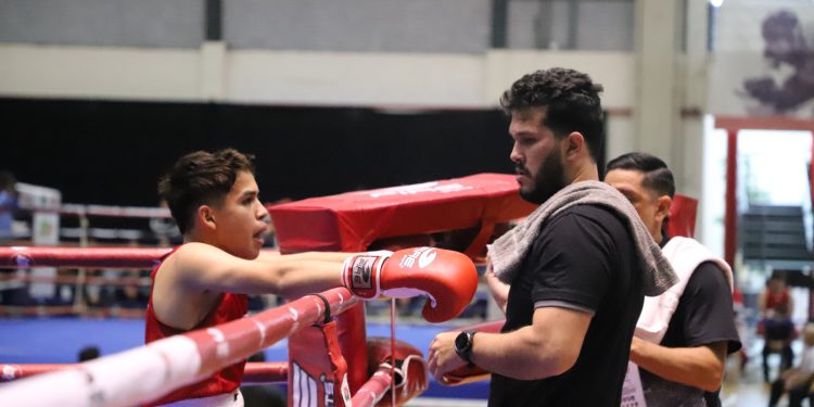 Aseguran Sinaloa cinco pases en Boxeo