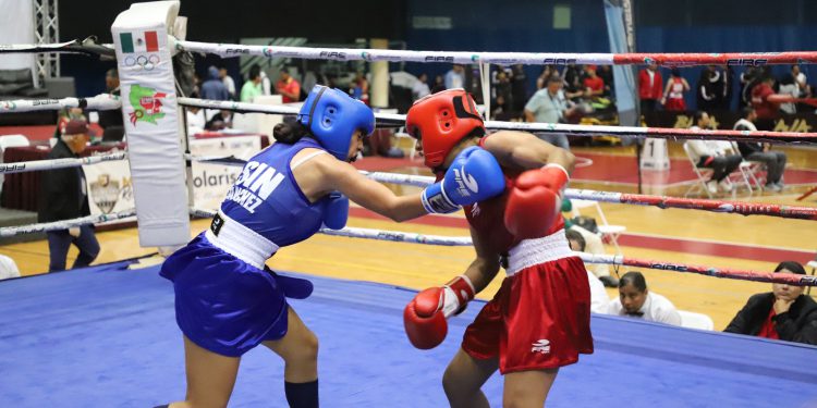 Aseguran Sinaloa cinco pases en Boxeo