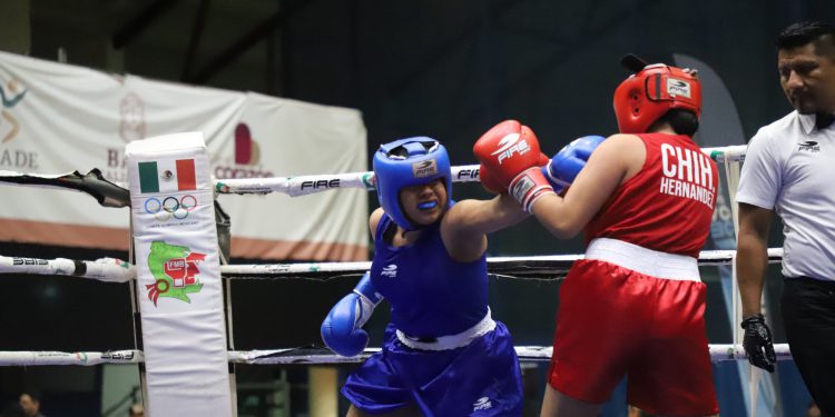 Aseguran Sinaloa cinco pases en Boxeo