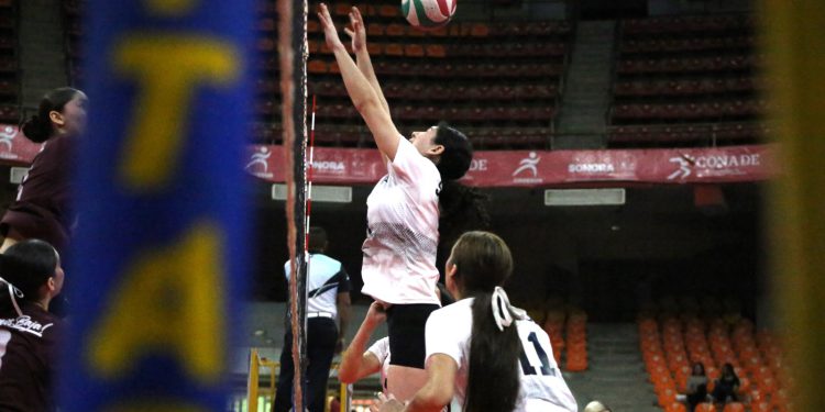 SINALOA BRILLA EN EL MACROREGIONAL VOLEIBOL DE SALA