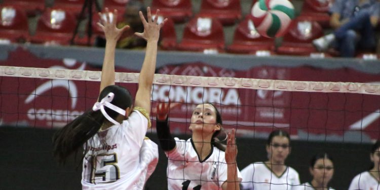 SINALOA BRILLA EN EL MACROREGIONAL VOLEIBOL DE SALA