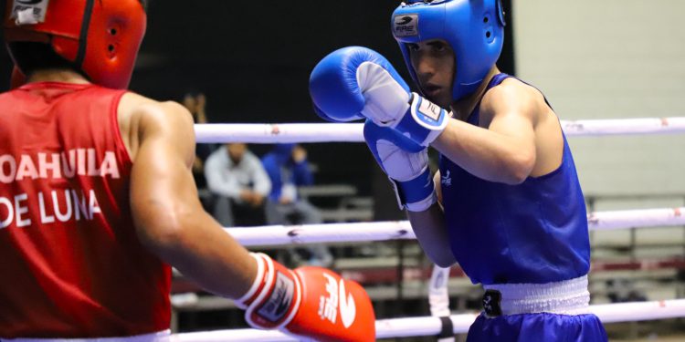 Aseguran Sinaloa cinco pases en Boxeo