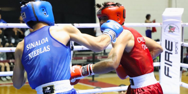 Aseguran Sinaloa cinco pases en Boxeo