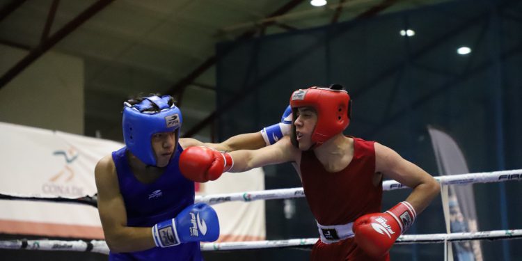 Aseguran Sinaloa cinco pases en Boxeo