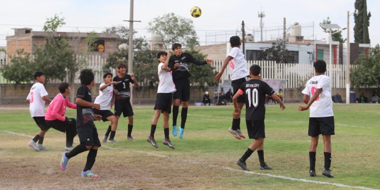 Disputarán la presa dorada