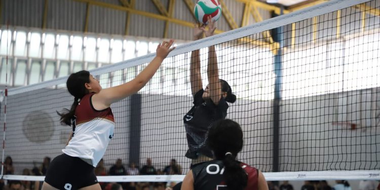 Avanzan dos equipos a la siguiente ronda