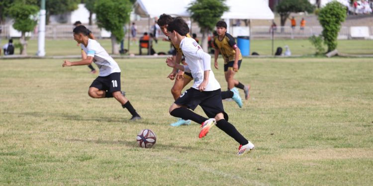 Gran jornada para Sinaloa