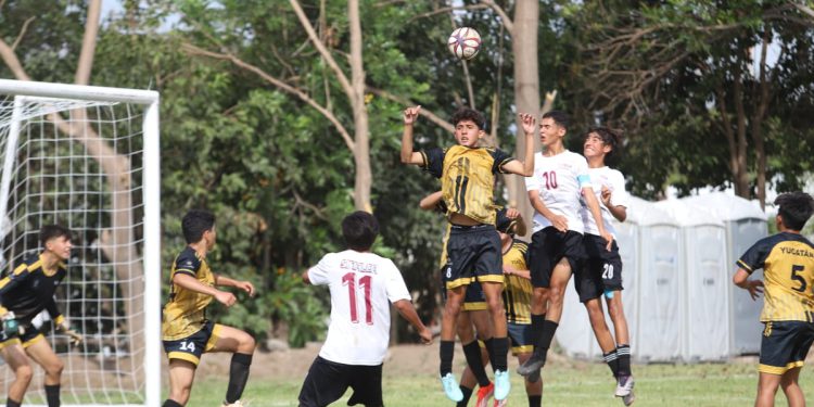 Gran jornada para Sinaloa